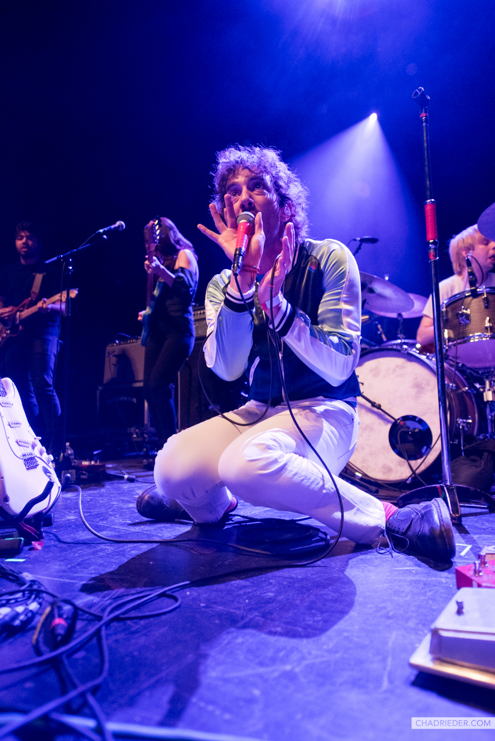 Albert Hammond Jr. singer