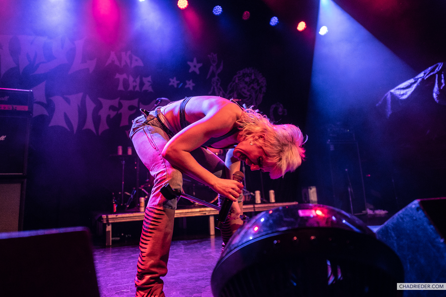 Amyl and the Sniffers
